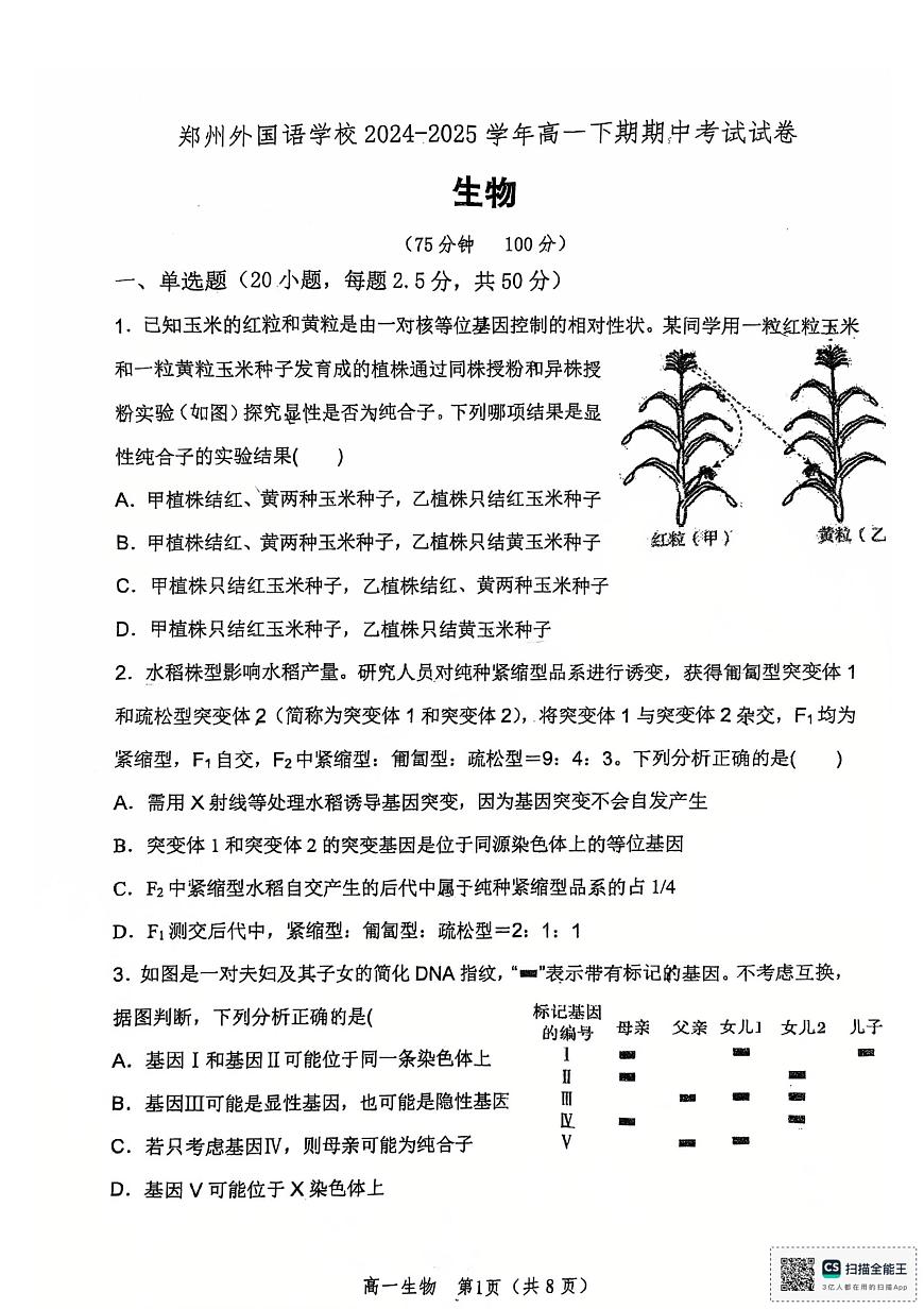 河南省郑州外国语学校2024-2025学年高一下学期期中考试生物试卷第1页
