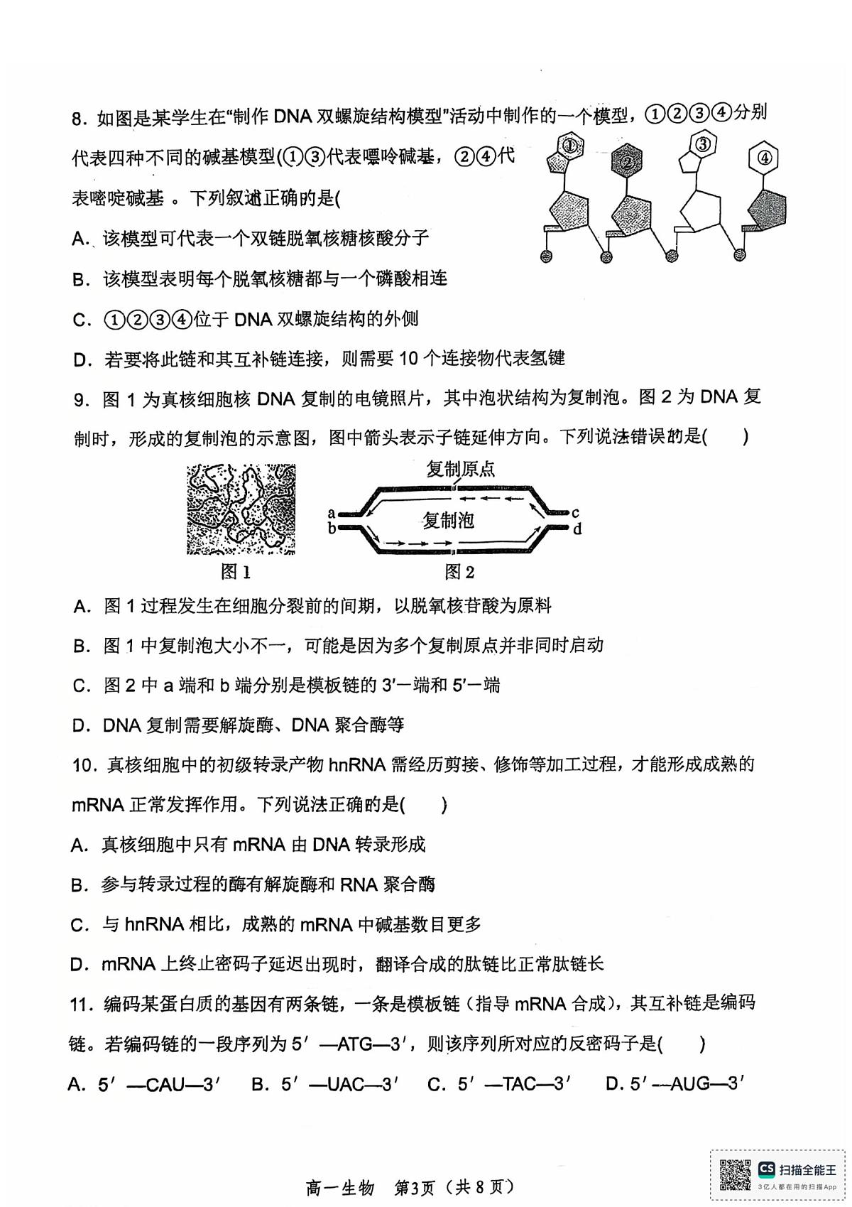 河南省郑州外国语学校2024-2025学年高一下学期期中考试生物试卷第3页