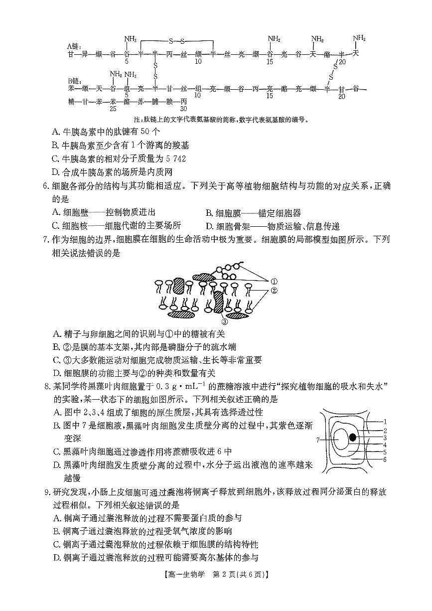 河南省名校大联考2024-2025学年高一下学期开学考试生物试题（无答案）第2页