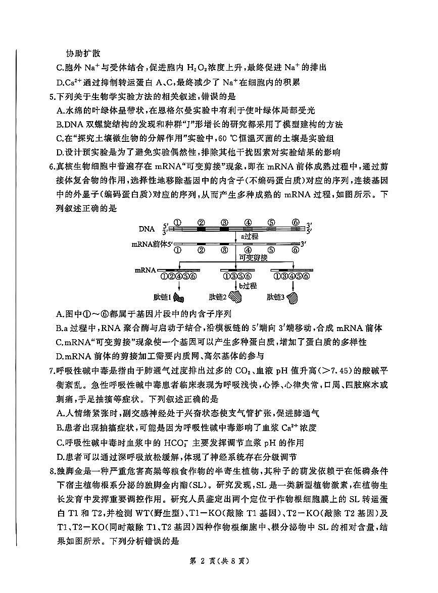 河北省NT名校联合体2025-2026学年高三上学期1月月考生物试卷（含答案）第2页