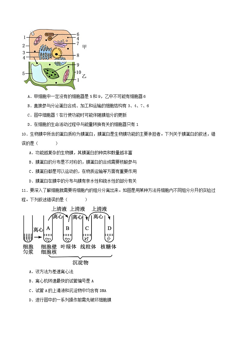 甘肃枢校2025_2026学年高一生物上学期第一次月考试题第3页
