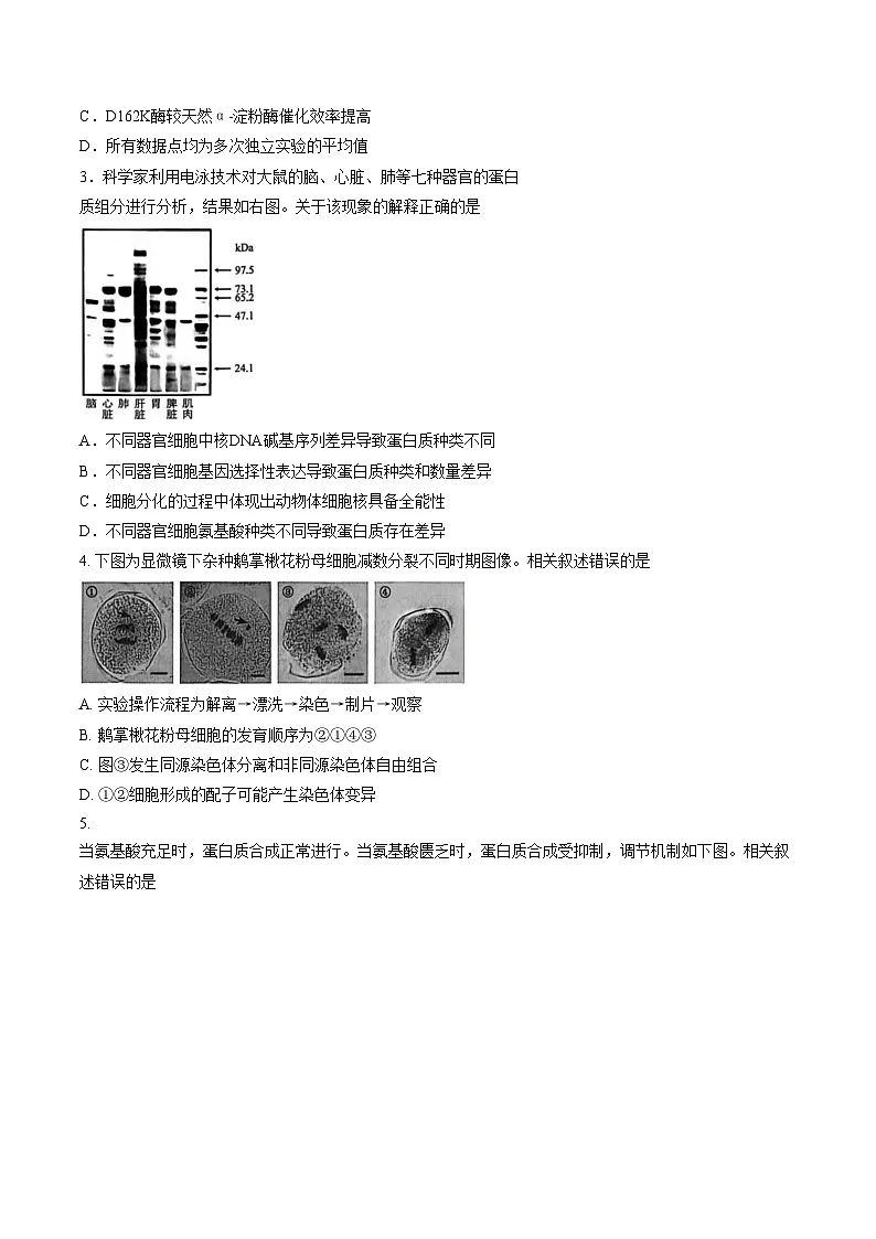 北京市昌平区2025_2026学年高三上学期期末质量抽检生物试题（文字版，含答案）第2页