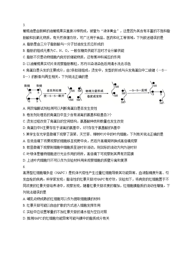 安徽省特色高中教研联谊会联考2025_2026学年高一上学期12月月考生物试题（文字版，含答案）第2页