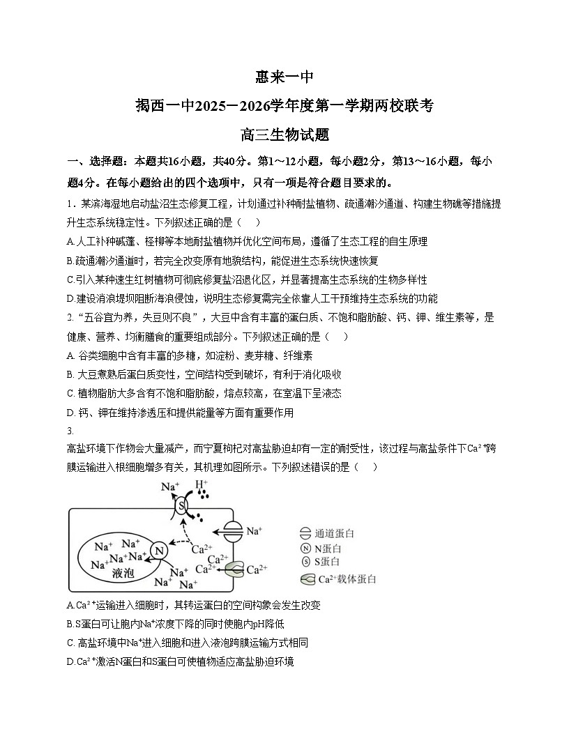 广东省揭阳市惠来一中、揭西一中联考2025_2026学年高三上学期12月月考生物试题（文字版，含答案）第1页