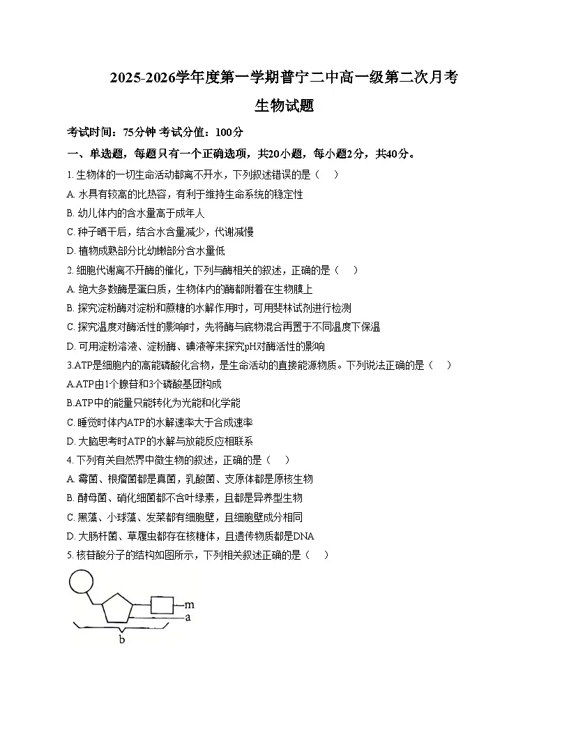 广东省揭阳市普宁市第二中学2025_2026学年高一上学期第二次月考生物试题（文字版，含答案）第1页