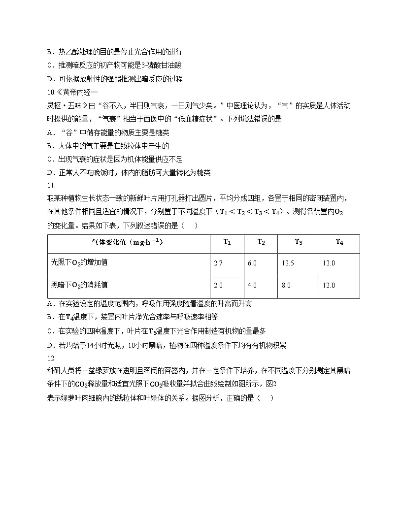广东省揭阳市普宁市第二中学2025_2026学年高一上学期第二次月考生物试题（文字版，含答案）第3页
