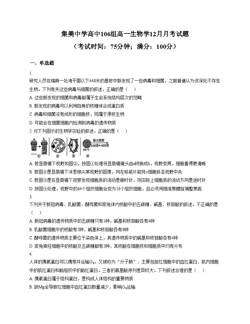 福建省厦门集美中学2025_2026学年高一上学期12月月考生物试卷（文字版，含答案）第1页