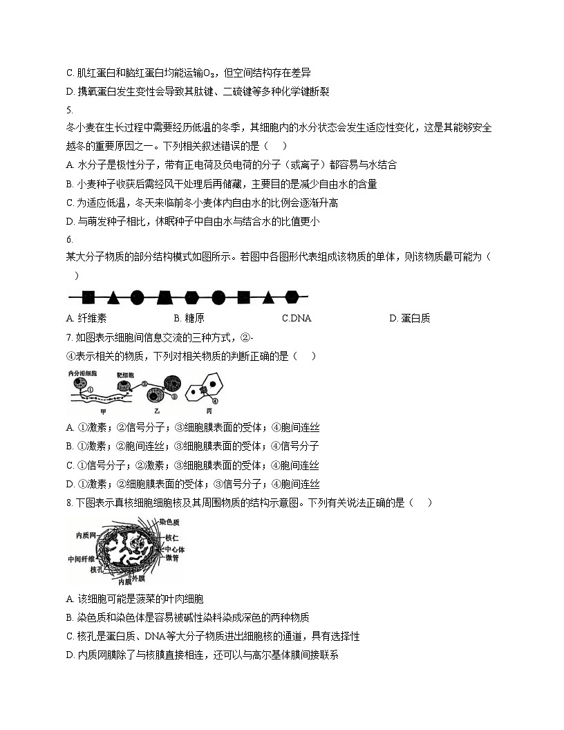 福建省厦门集美中学2025_2026学年高一上学期12月月考生物试卷（文字版，含答案）第2页