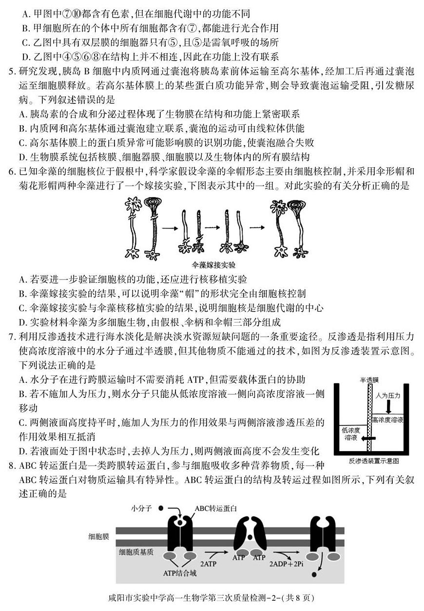 陕西省咸阳市实验中学2025-2026学年高一上学期第三次质量检测生物试卷（无答案）第2页