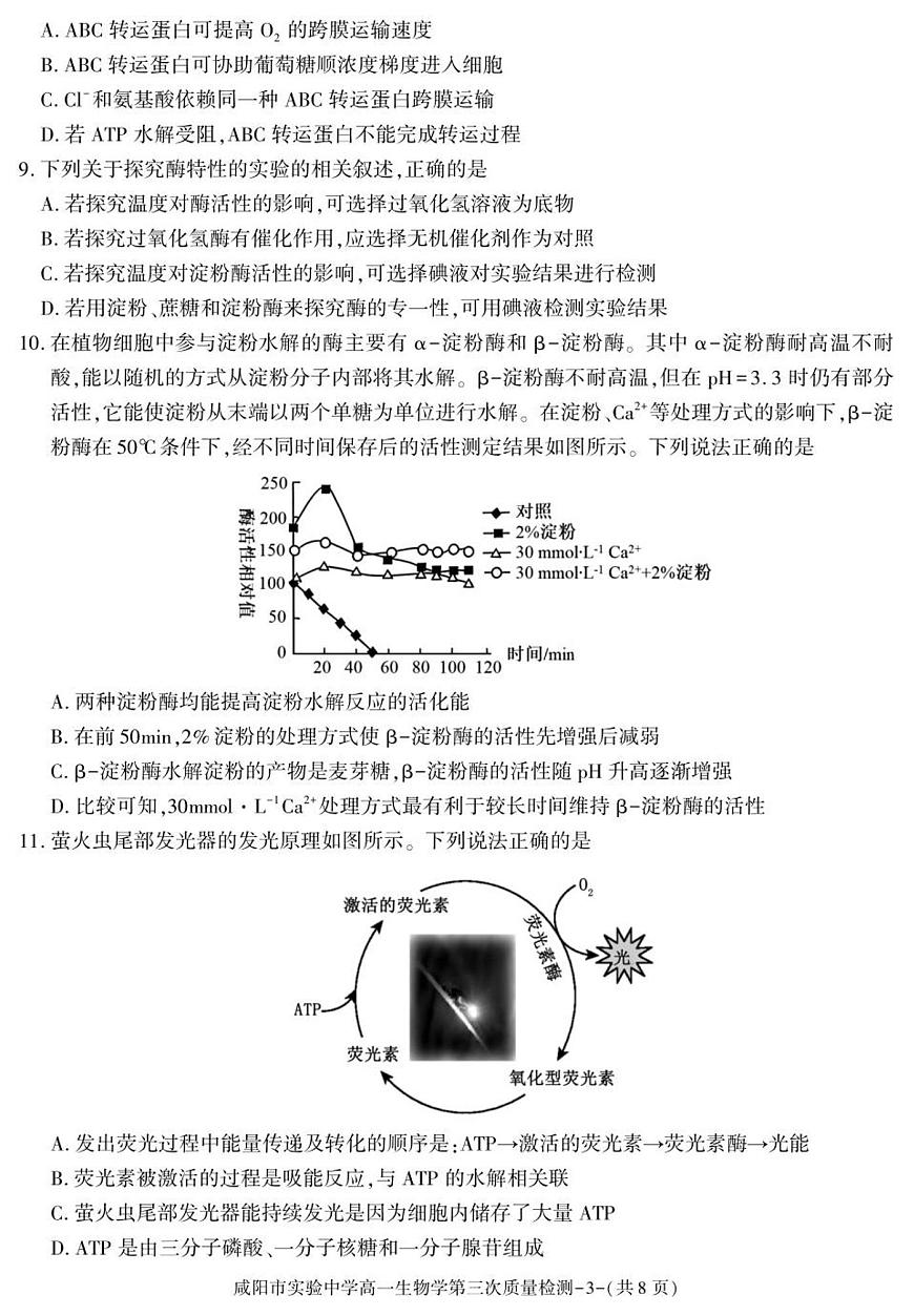 陕西省咸阳市实验中学2025-2026学年高一上学期第三次质量检测生物试卷（无答案）第3页