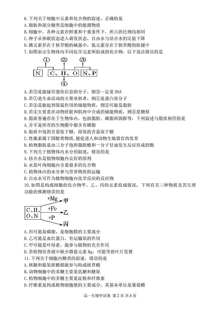 辽宁省丹东市2024-2025学年高一上学期12月教学质量调研测试生物试卷（无答案）第2页