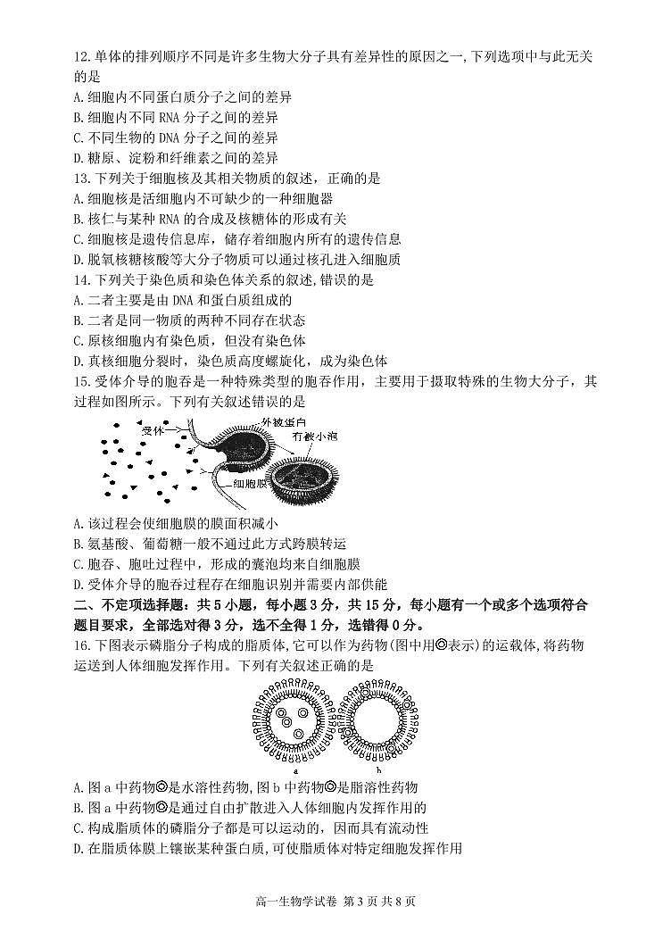 辽宁省丹东市2024-2025学年高一上学期12月教学质量调研测试生物试卷（无答案）第3页