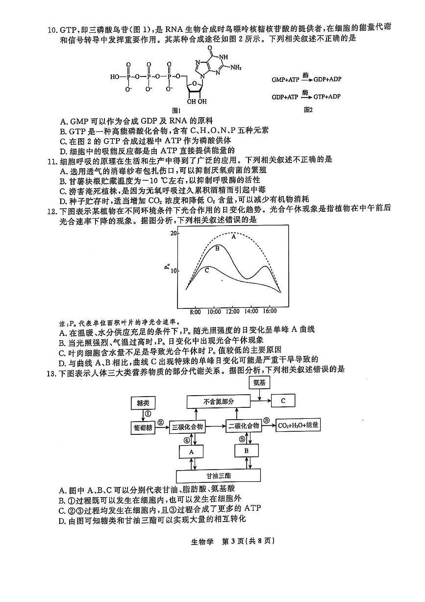 辽宁省名校联盟2024-2025学年高一下学期3月联考生物试卷（无答案）第3页