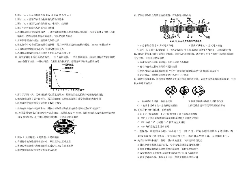 辽宁省朝阳市重点高中2024-2025学年高一上学期12月联考生物试卷（无答案）第2页