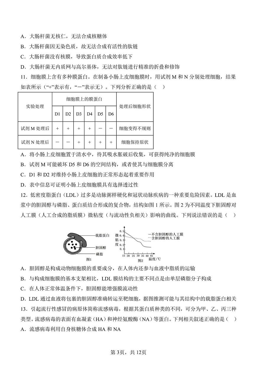 山东省济南第一中学2025-2026学年高一上学期1月学情检测生物试卷（无答案）第3页