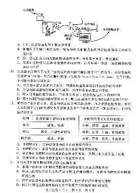 河北省NT20名校联合体高三年级上学期1月质检考试生物试卷（无答案）第3页
