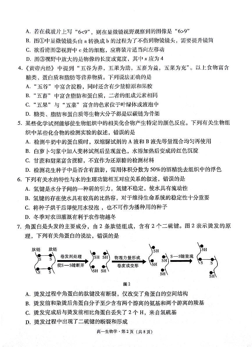 贵州省贵阳市2024-2025学年高一上学期12月联考试题生物试卷（无答案）第2页