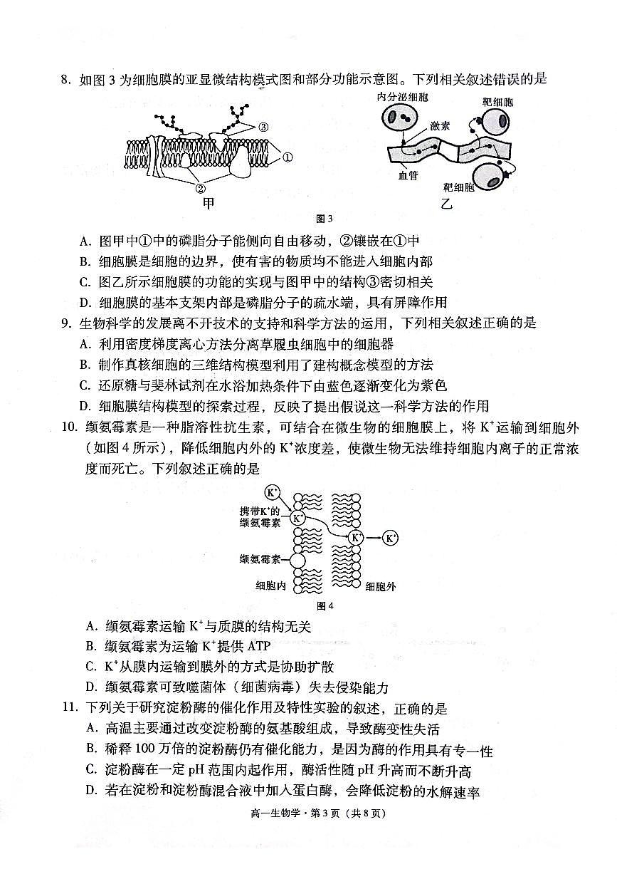 贵州省贵阳市2024-2025学年高一上学期12月联考试题生物试卷（无答案）第3页