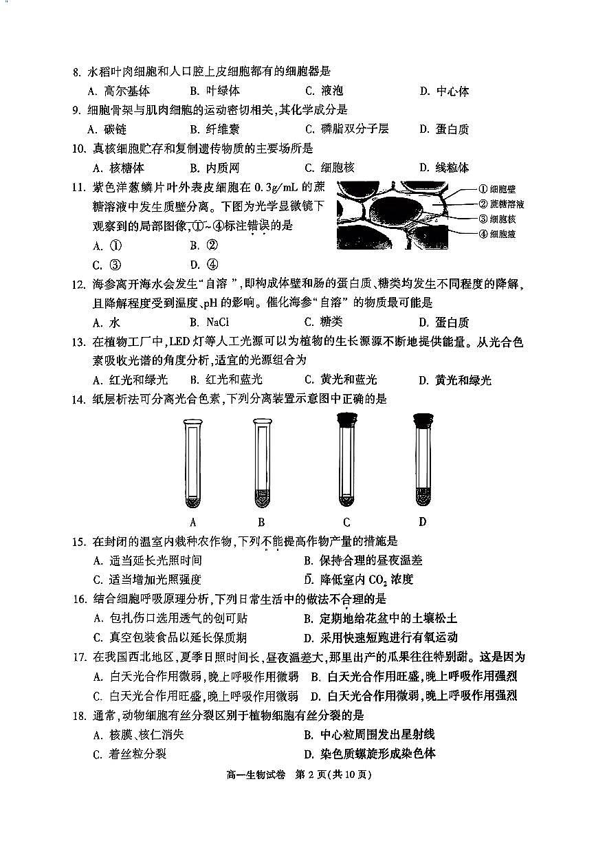 2026北京顺义高一（上）期末生物试卷第2页