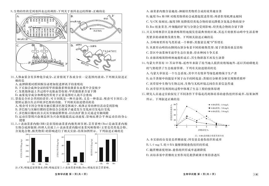 陕晋青宁衡水金卷2026届高三上学期12月阶段性自测生物试卷（无答案）第2页