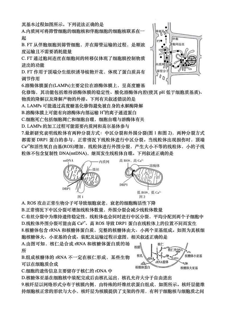 湖南省长沙市第一中学2024-2025学年高一下学期入学考试生物试题（无答案）第2页