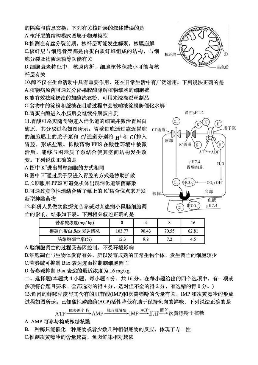 湖南省长沙市第一中学2024-2025学年高一下学期入学考试生物试题（无答案）第3页
