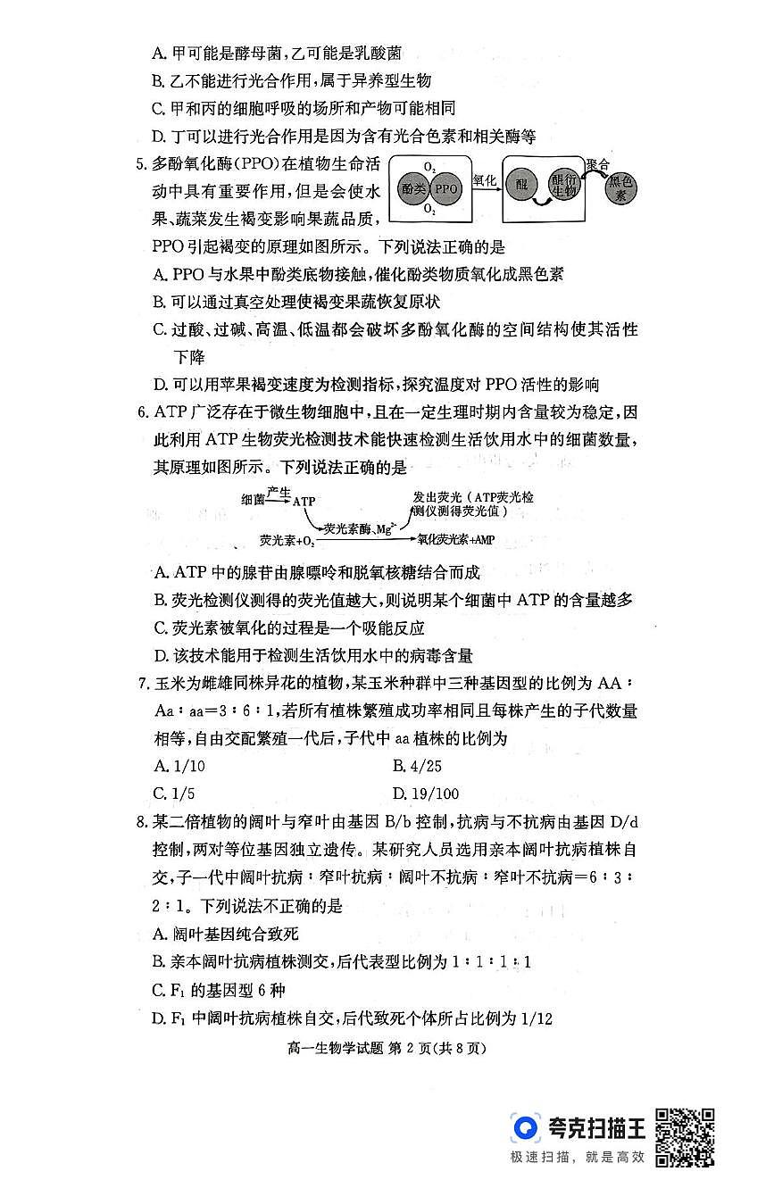 湖南省名校联考联合体2024-2025学年高一下学期期中考试生物试题（无答案）第2页