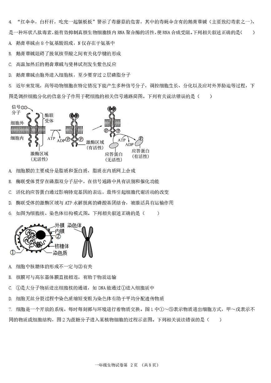 湖北省宜昌市部分省级示范高中2024-2025学年高一下学期4月期中联合考试生物试卷（无答案）第2页