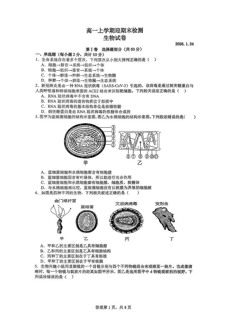 山东省枣庄市市中区枣庄市第三中学2025-2026学年高一上学期1月月考生物试题（月考）第1页