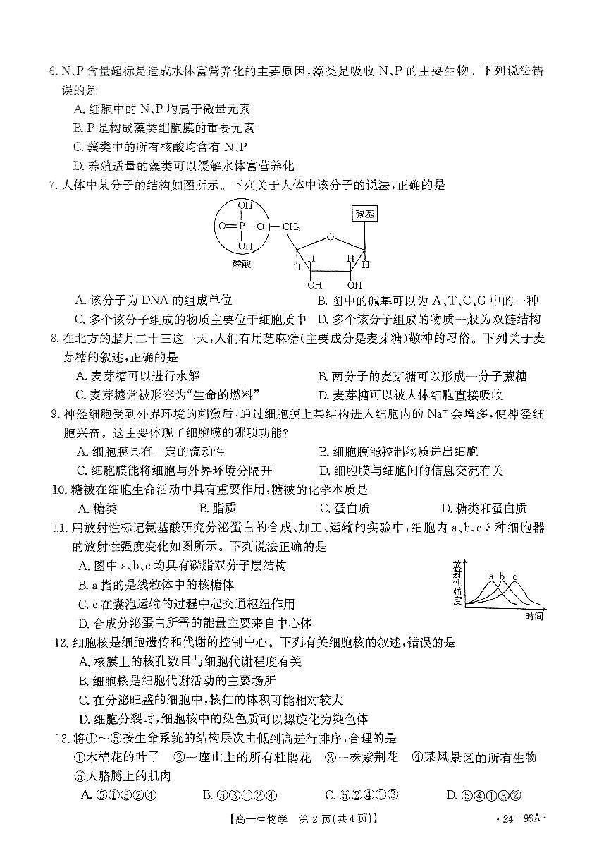 广东省湛江市2023-2024学年高一上学期11月期中生物试题（无答案）第2页
