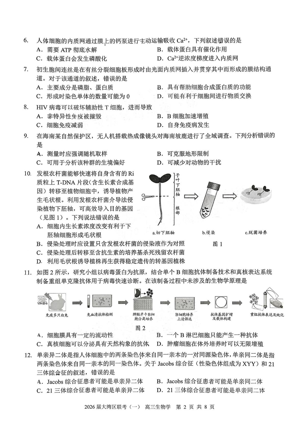 广东省大湾区（中山、珠海、江门、阳江等市）2026届上学期高三一模 生物试题+答案第2页