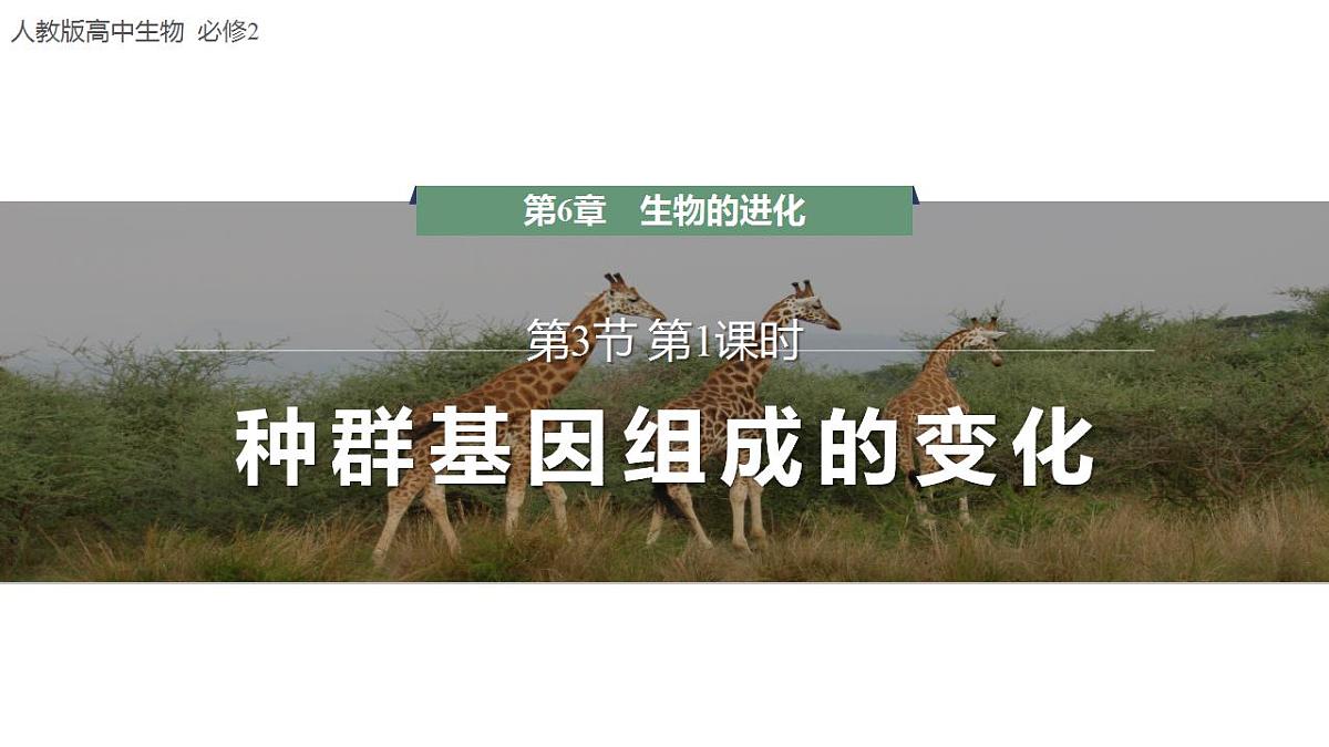 17868420第1页