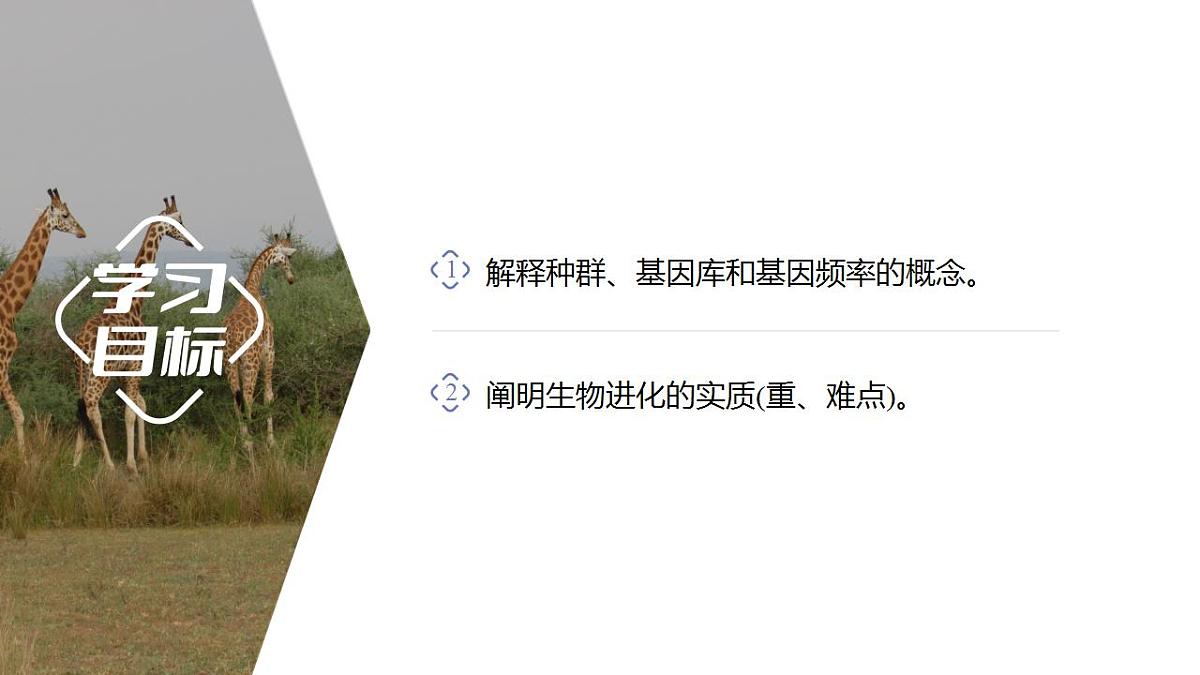 17868420第2页