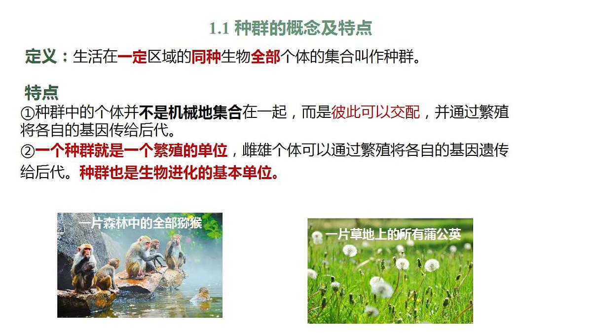 17868420第5页