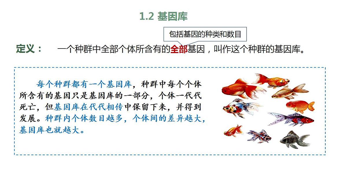 17868420第6页