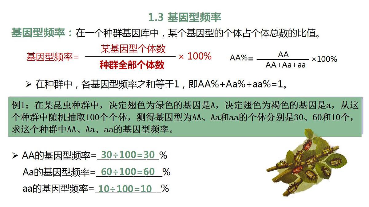 17868420第7页