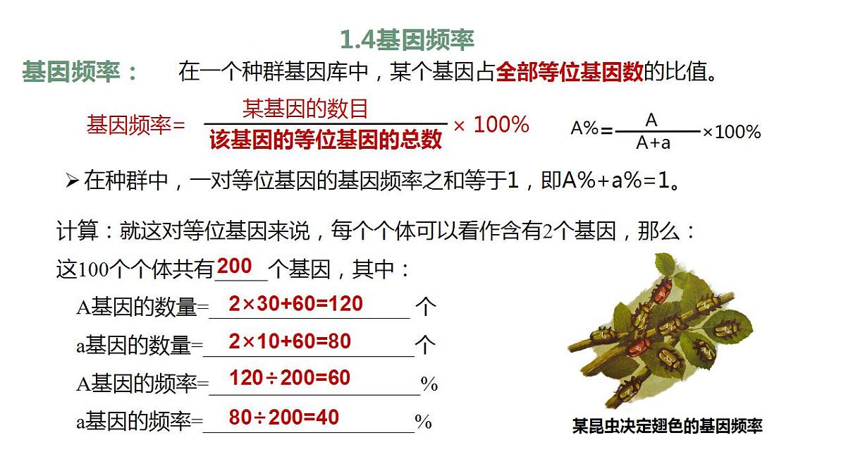 17868420第8页
