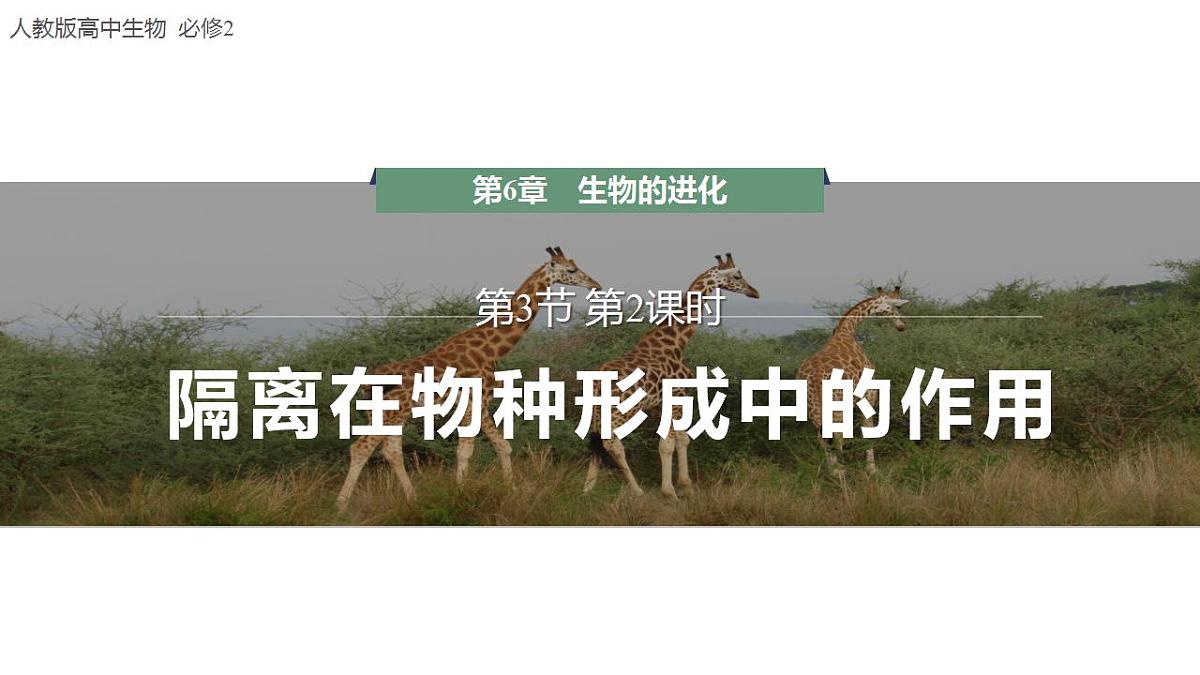 17868422第1页