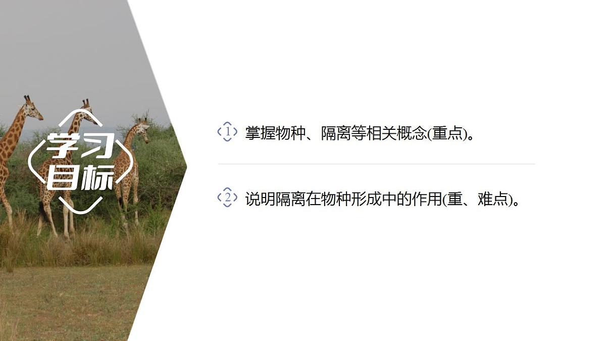 17868422第2页