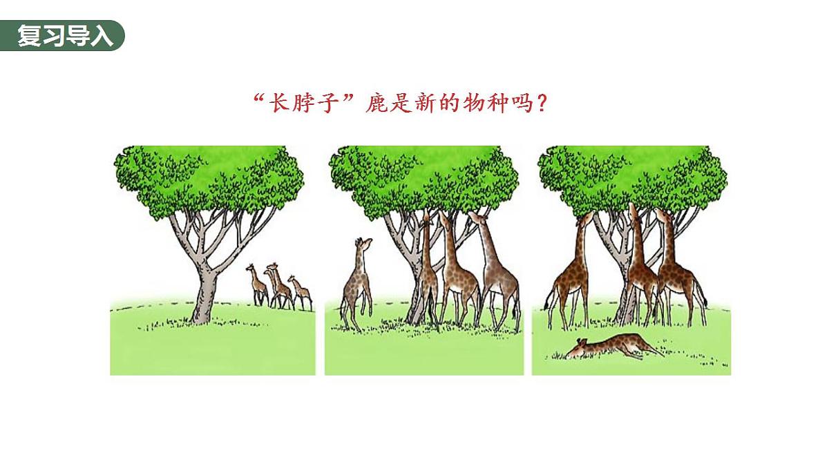 17868422第3页