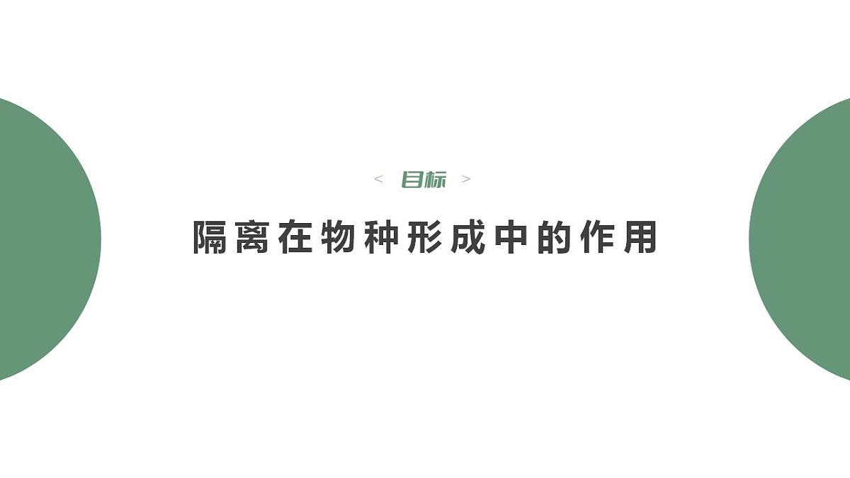 17868422第4页