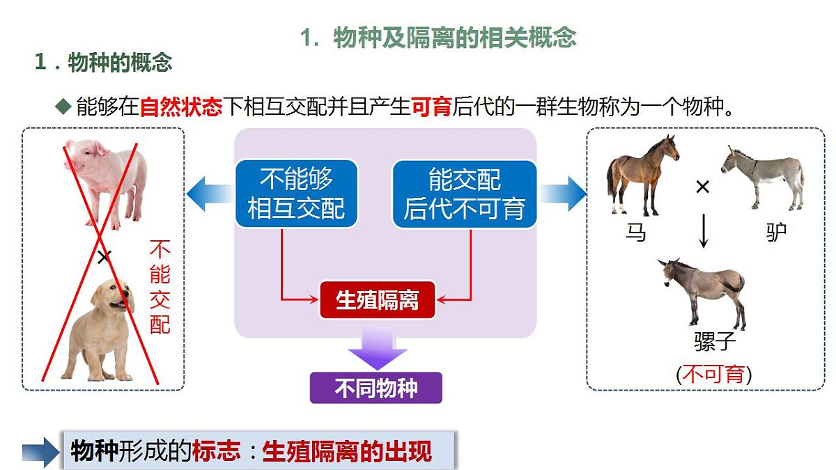 17868422第5页