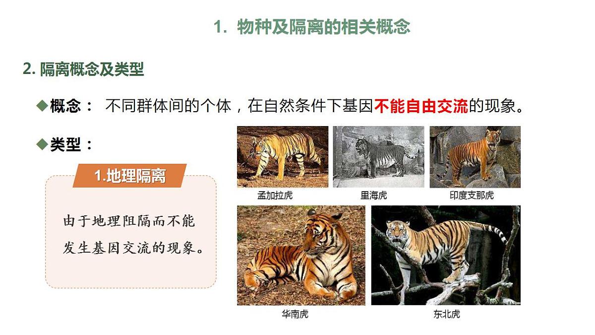 17868422第6页