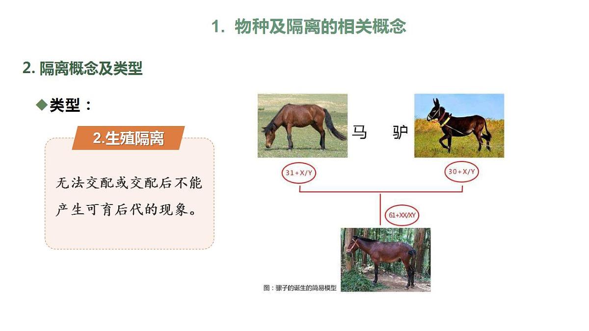 17868422第7页