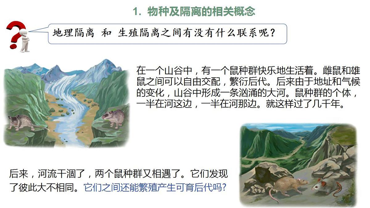 17868422第8页