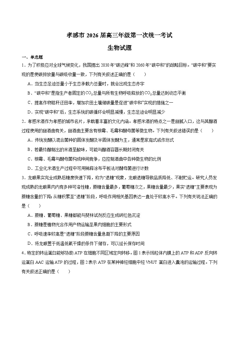 湖北省孝感市2026届高三上学期第一次统一考试 生物试卷(含答案）第1页
