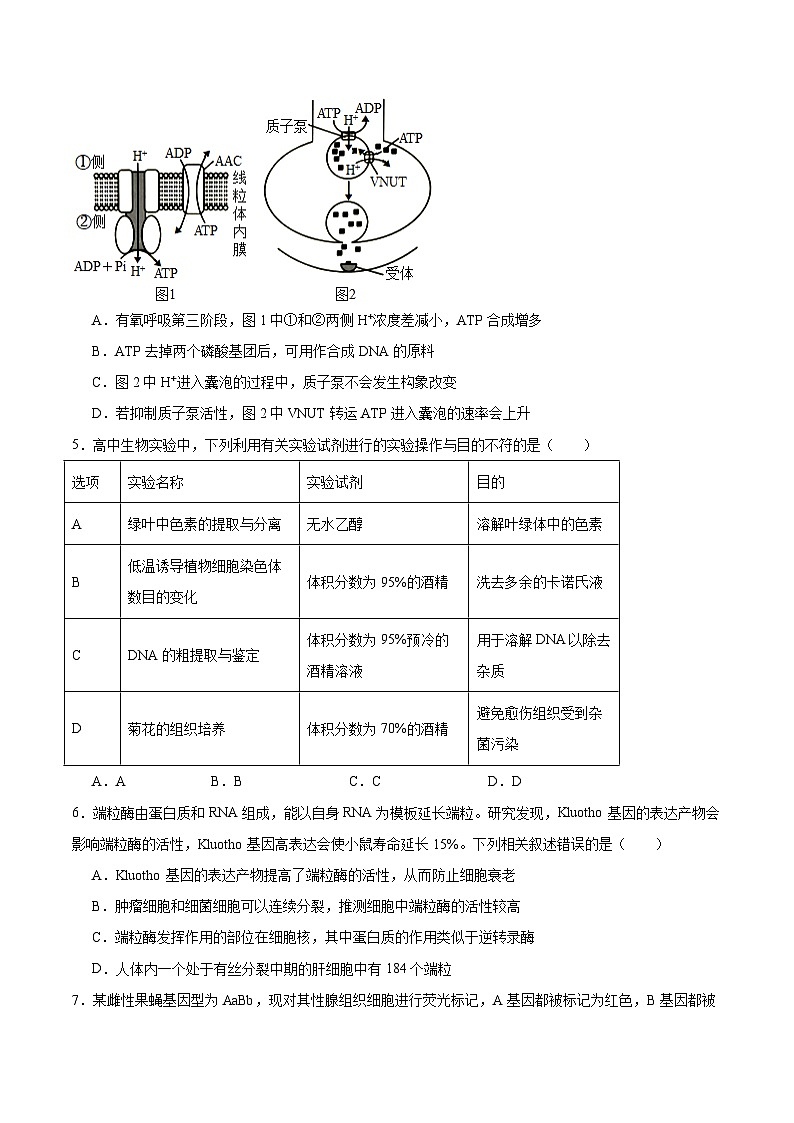 湖北省孝感市2026届高三上学期第一次统一考试 生物试卷(含答案）第2页