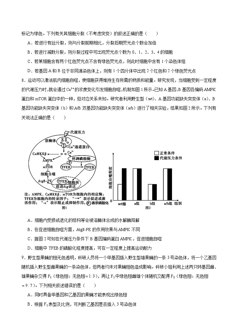 湖北省孝感市2026届高三上学期第一次统一考试 生物试卷(含答案）第3页