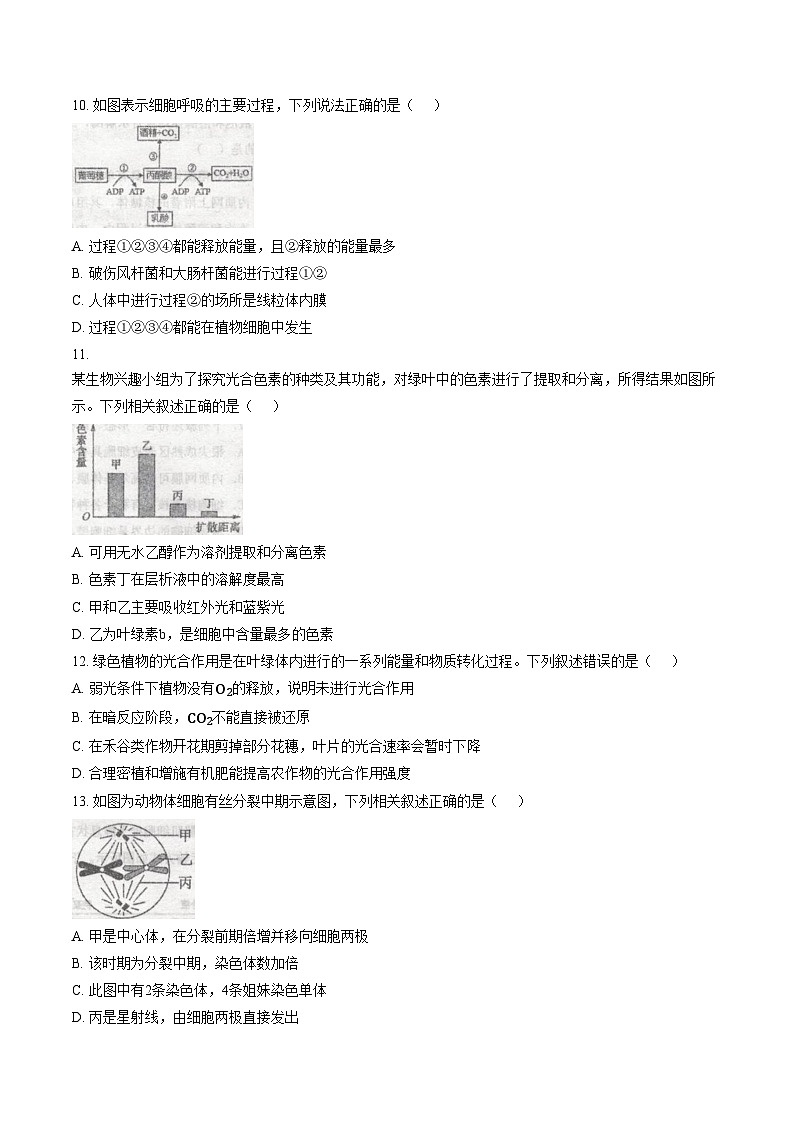 内蒙古自治区乌兰察布市集宁区第二中学2025_2026学年高一上学期1月期末考试生物试题(文字版含答案)第3页