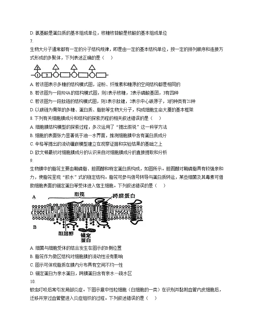 重庆实验外国语学校2025_2026学年高一上学期12月检测生物试题（文字版，含答案）第3页